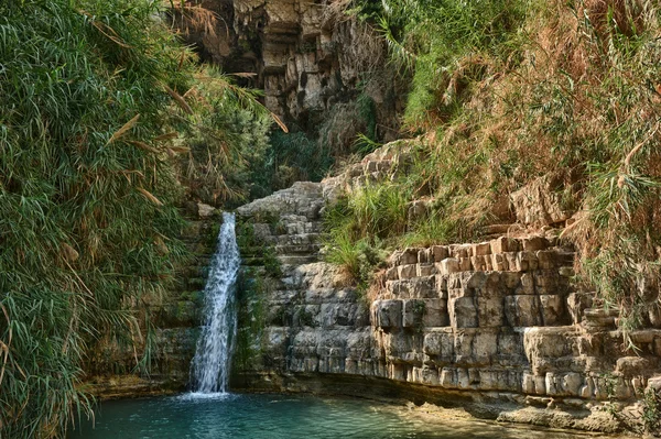 Ein Gedi Nature Reserve off the coast of the Dead Sea
