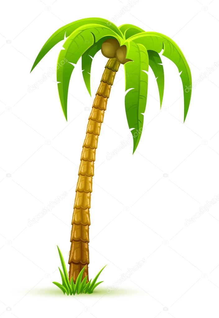 palm tree vector