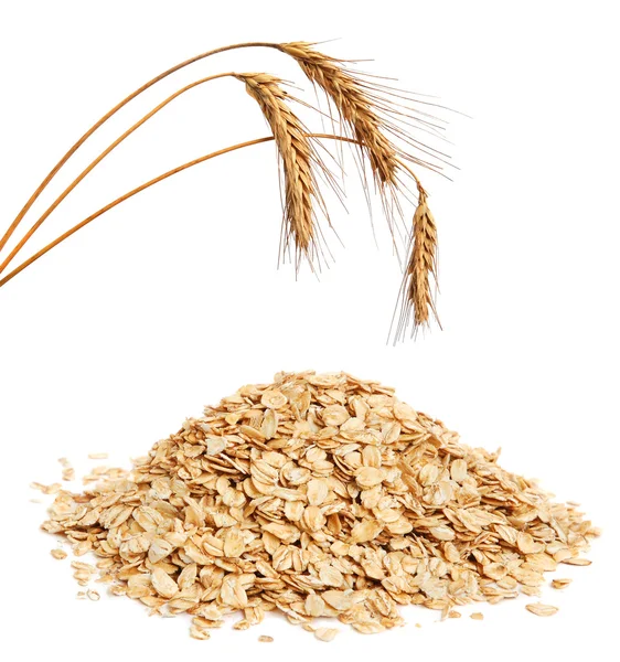 Oat Vector