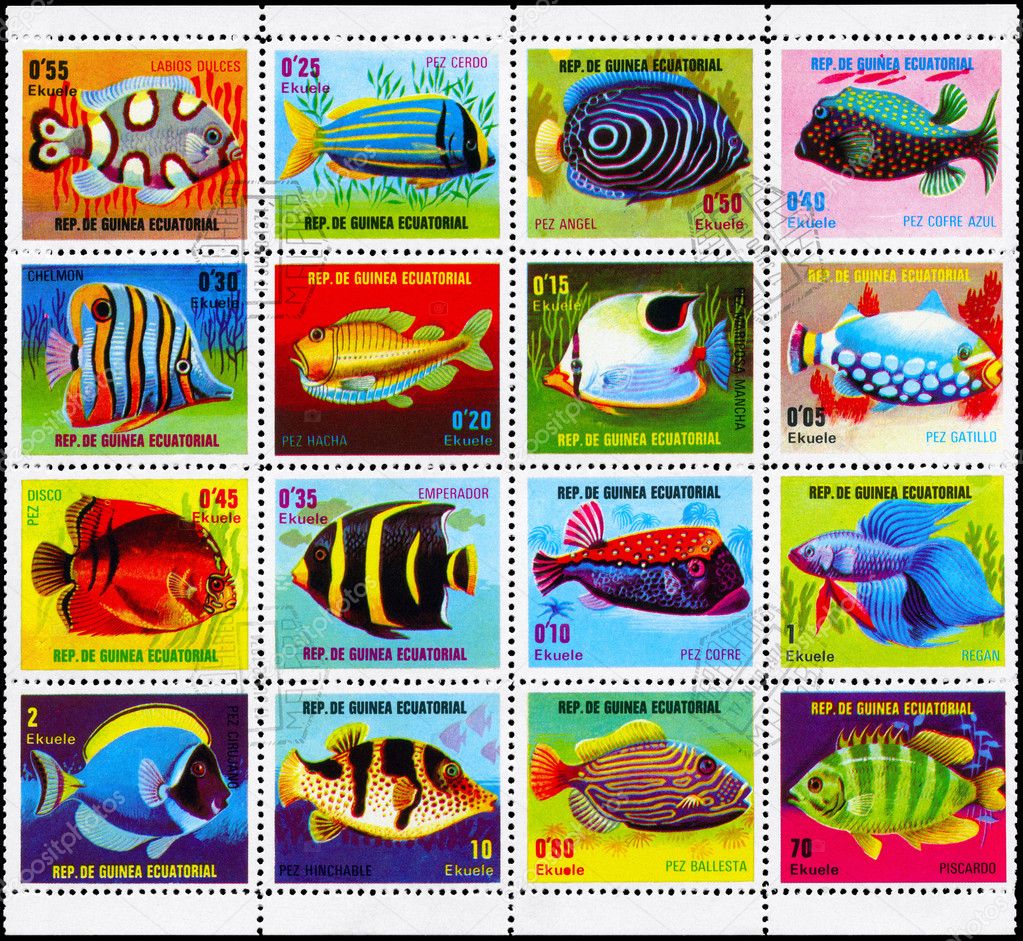 depositphotos_6263422-EQUATORIAL-GUINEA---CIRCA-1974-Fish-Collection