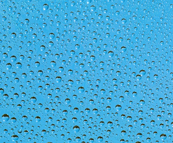 Natural blue background - drop of rain