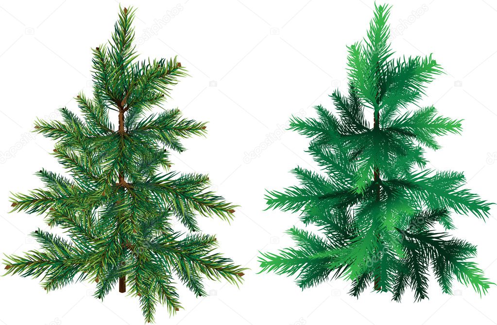 Evergreen stock options
