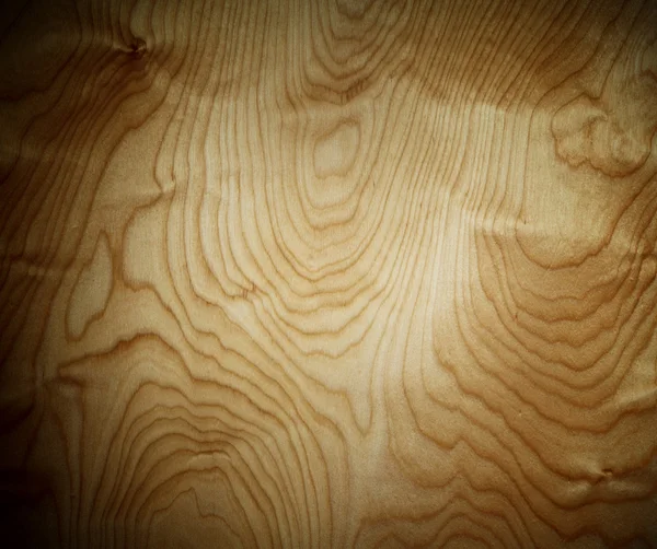 Grunge vein wood panel