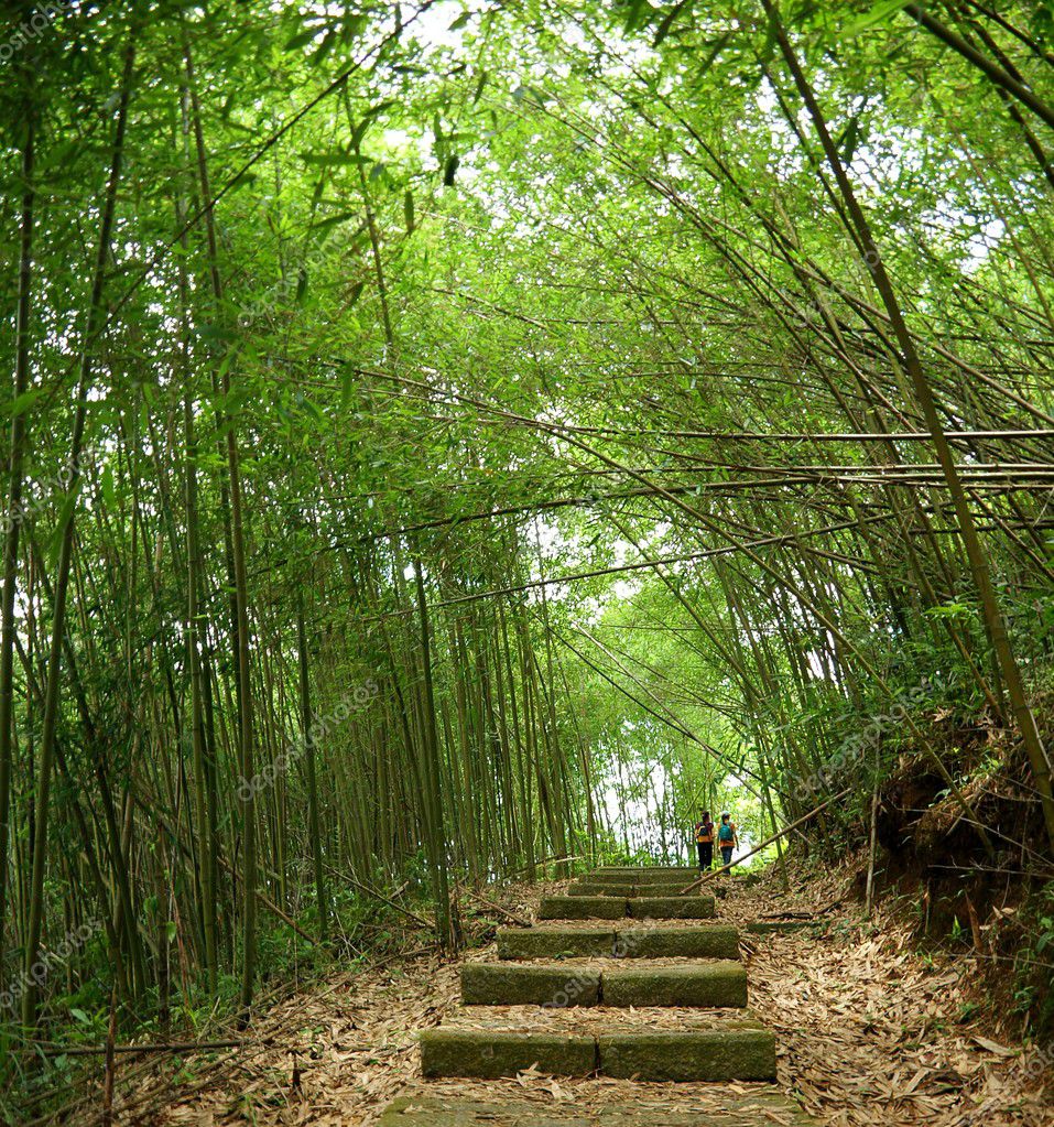 Bamboo Stone