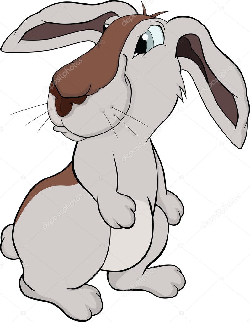 Rabbit Cartoon Pictures