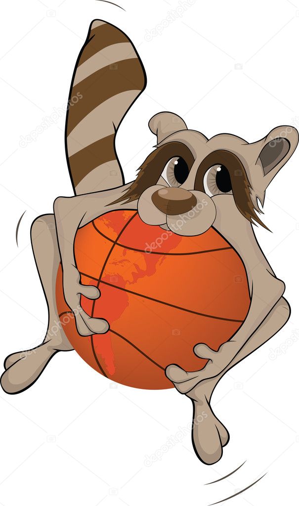 basketball ball cartoon. Raccoon and a asketball ball. Cartoon