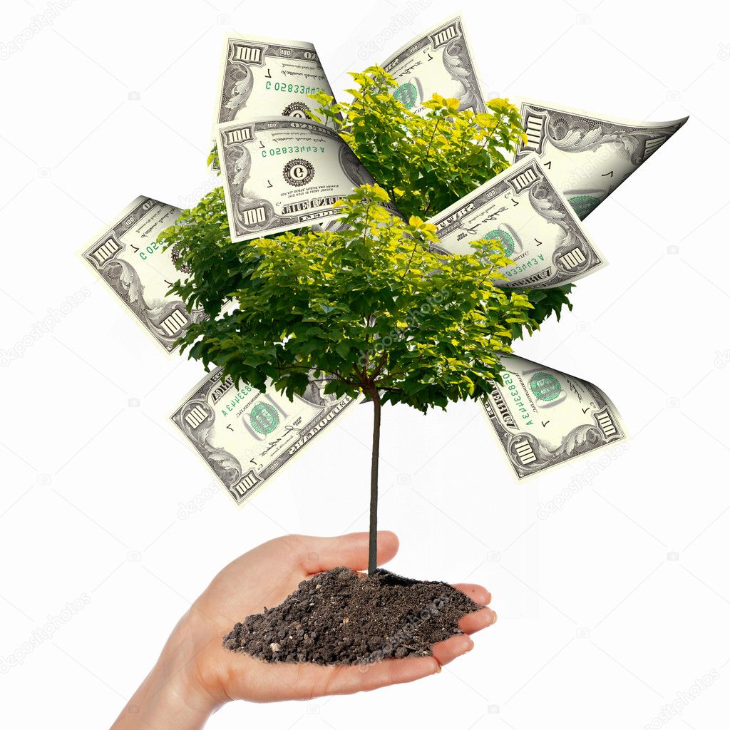 Tree With Money