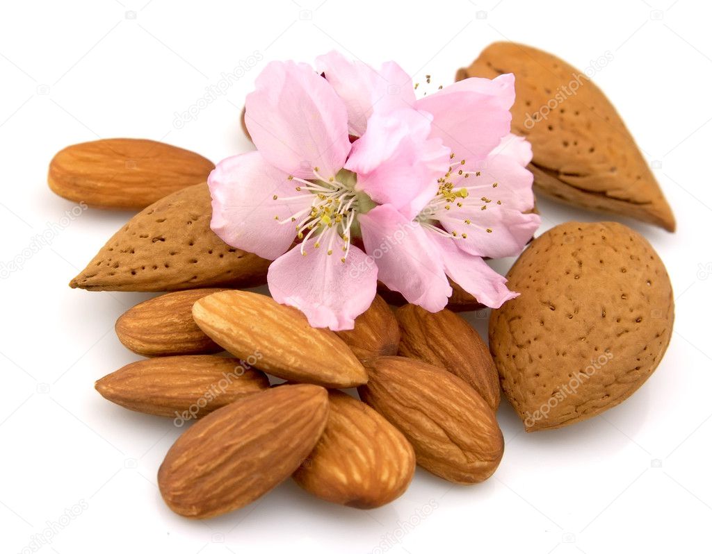 Almonds Flowers