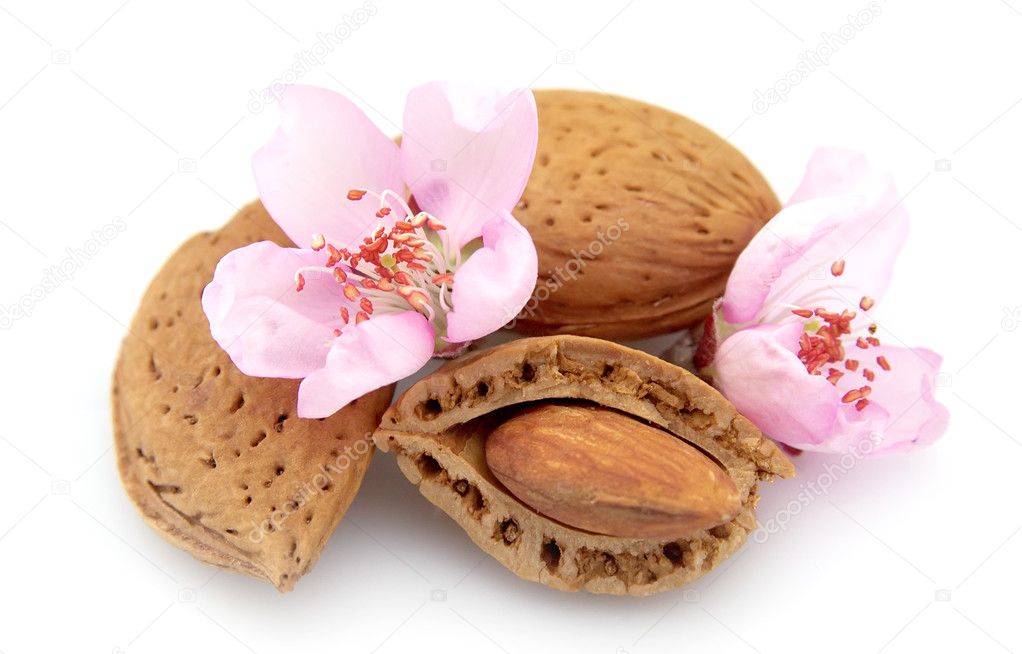 Almonds Flowers