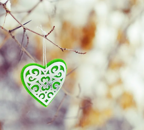 Green heart hangs on a tree