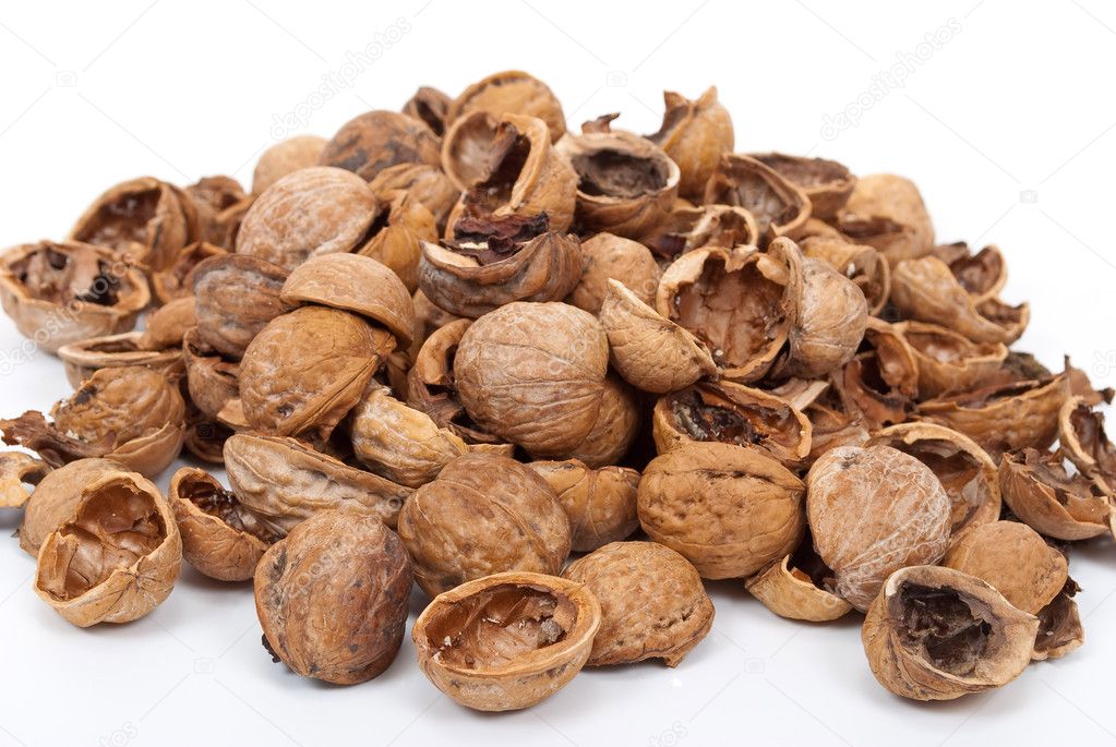 Walnut shell — Stock Photo © Alexan66 6250056