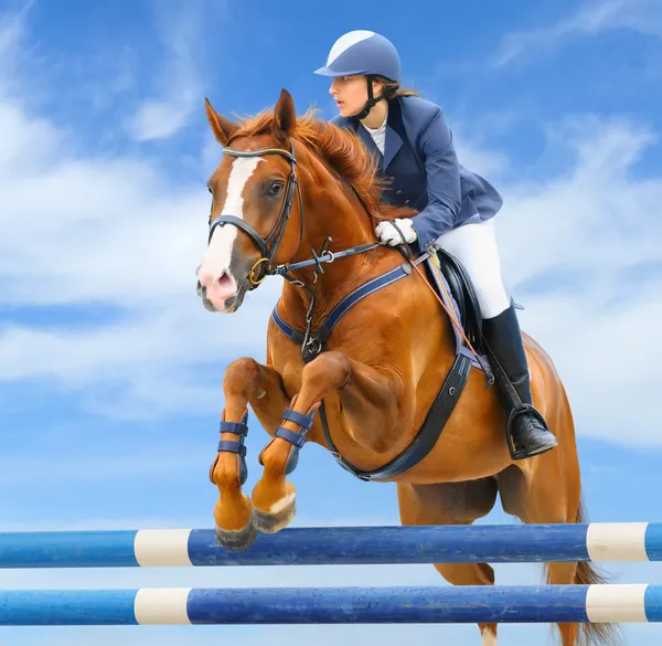 Equestrian sport - show jumping