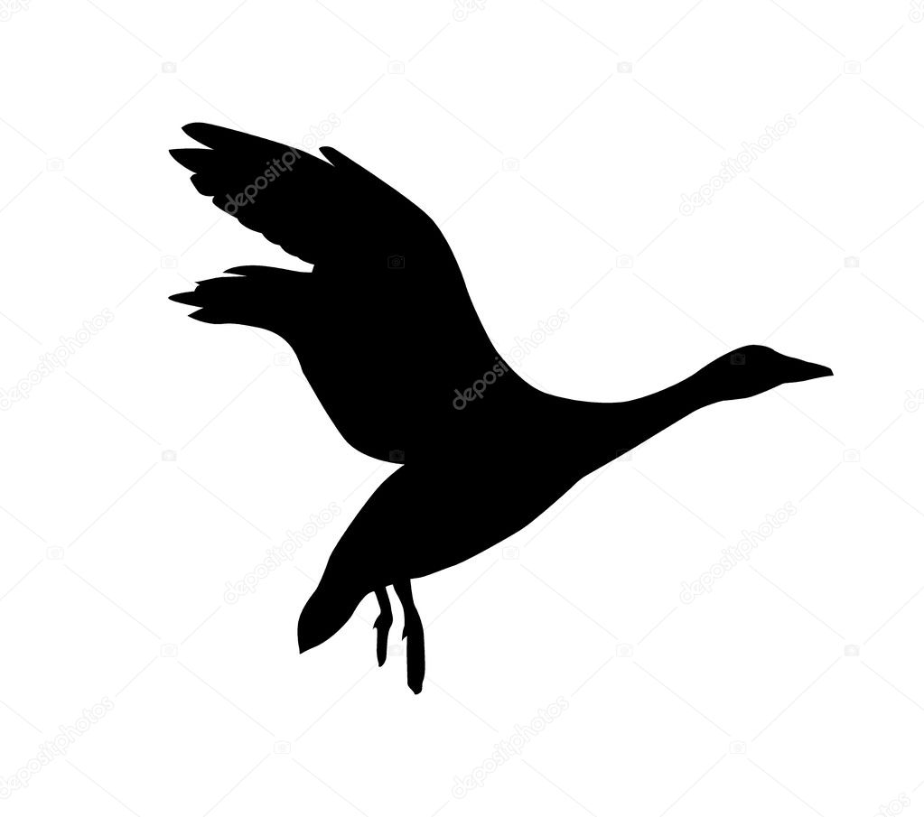 Goose on white background — Stock Vector © basel101658 #5521886