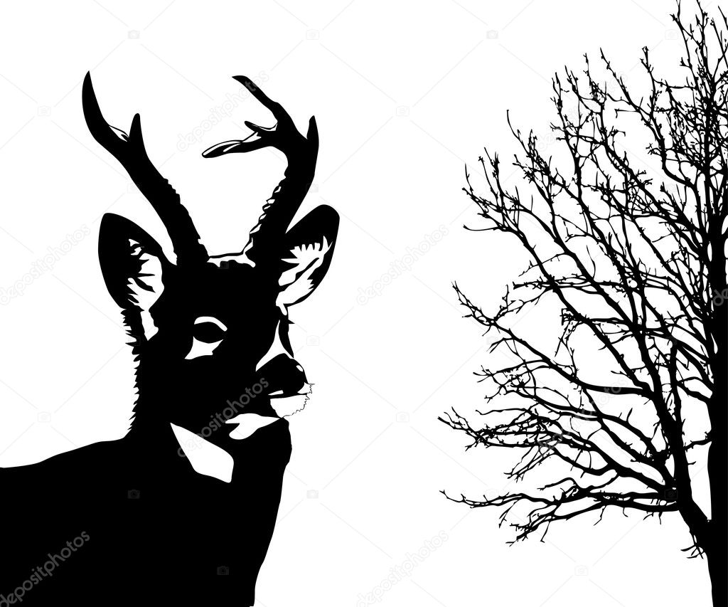 Deer Silhouette Patterns