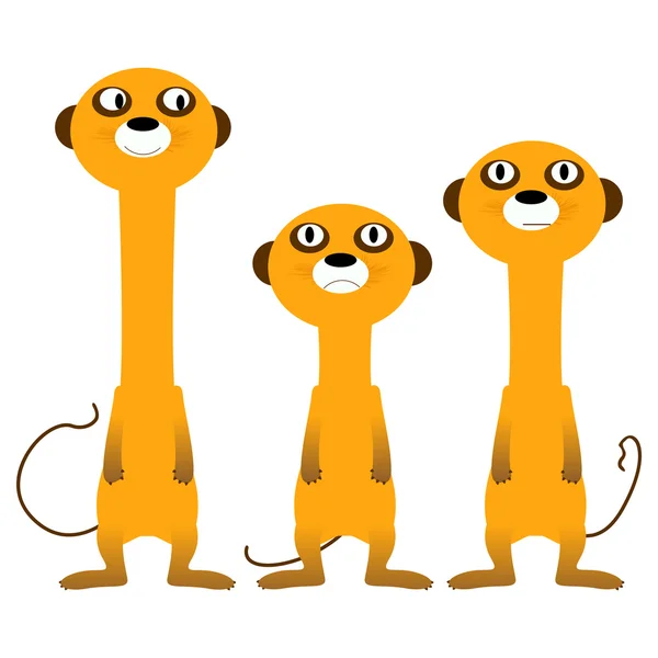 Stockphotos on Curious Meerkats Stock Vector Laschon Richard 5600435