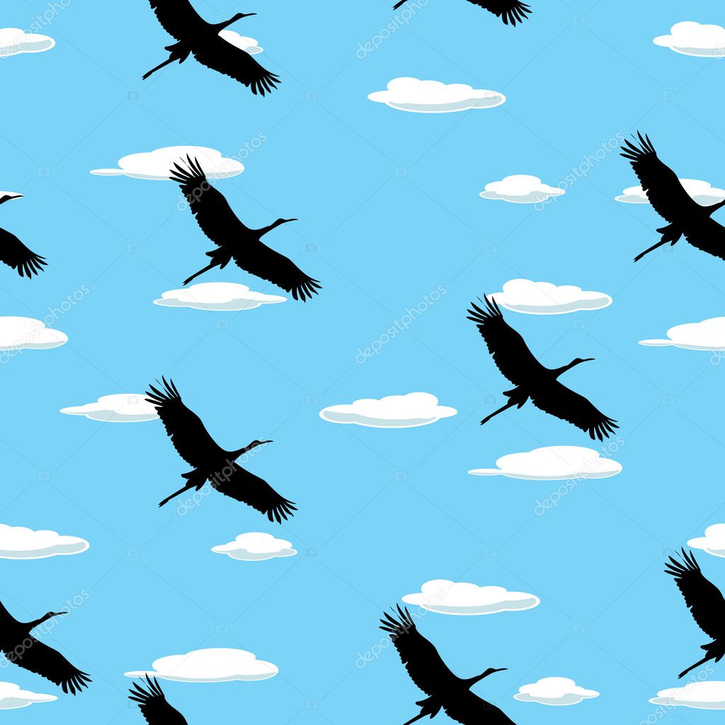 Birds Flying Pattern