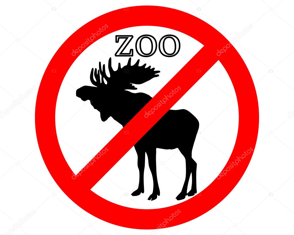 Moose In Zoo