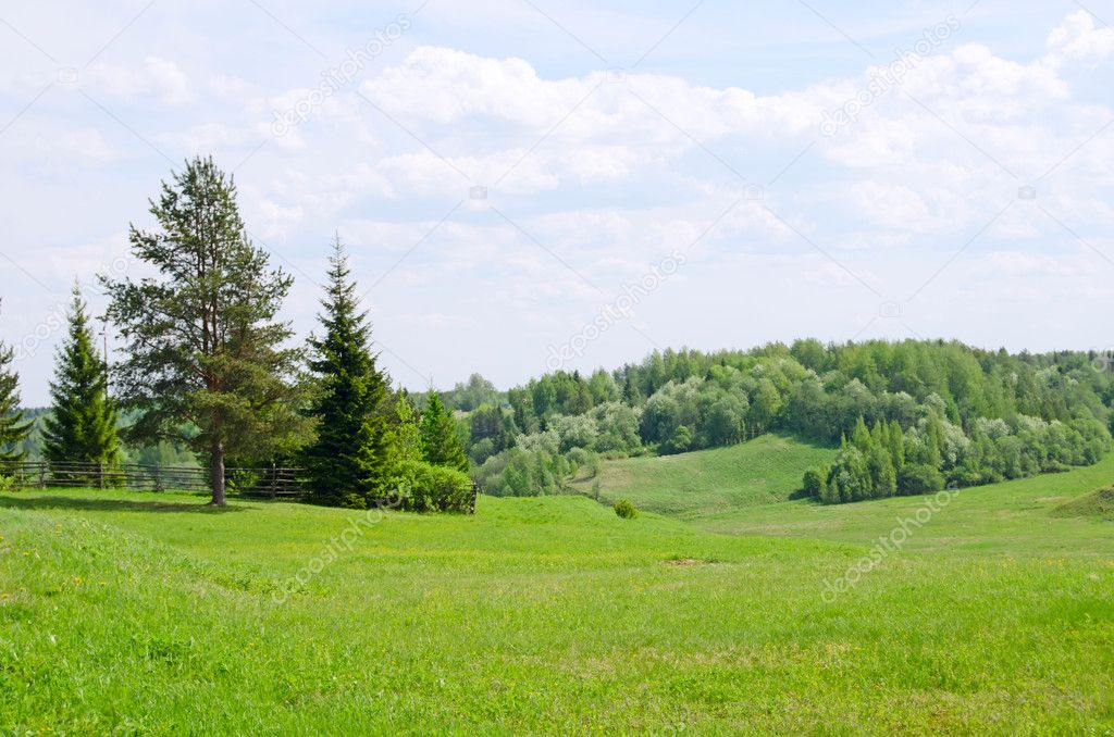 Beautiful Grass Landscape