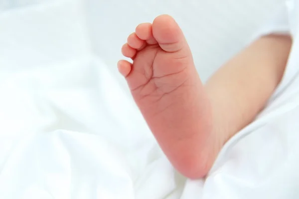 Little foot of newborn baby