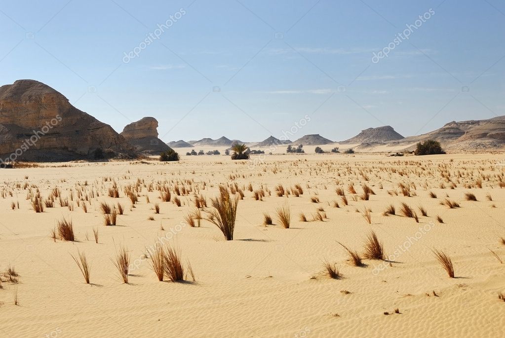 Sahara Desert, Egypt — Stock Photo © znm666 5450165