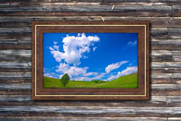 Picture frame to nature — Stock Photo #5456909