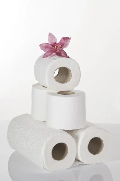 Concept still life with toilet paper and pink orchid