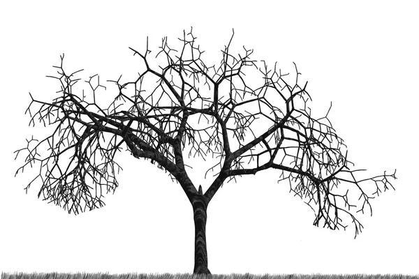 A Dry Tree