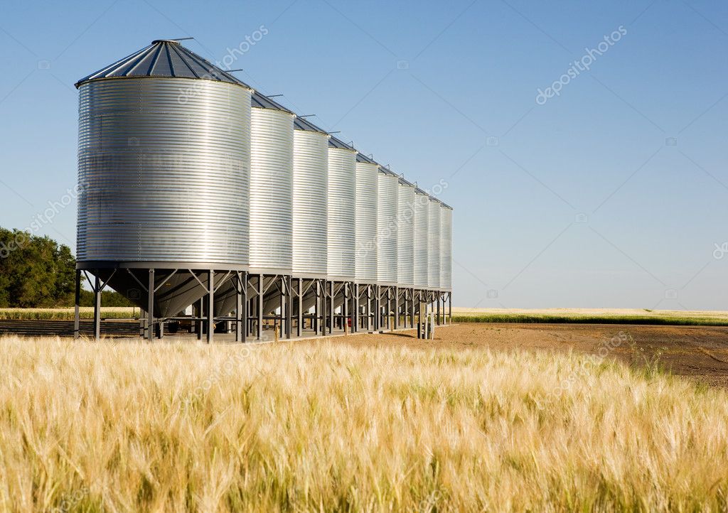 Grain Bin