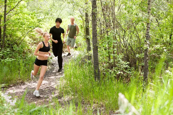 Friends running in the forest — Stock Photo #5709928