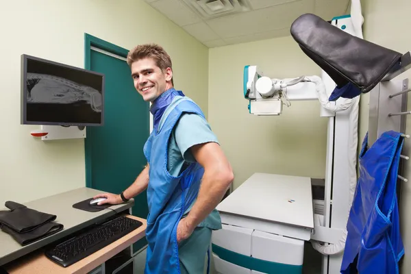 Radiologist examining X-ray of dog\'s spine