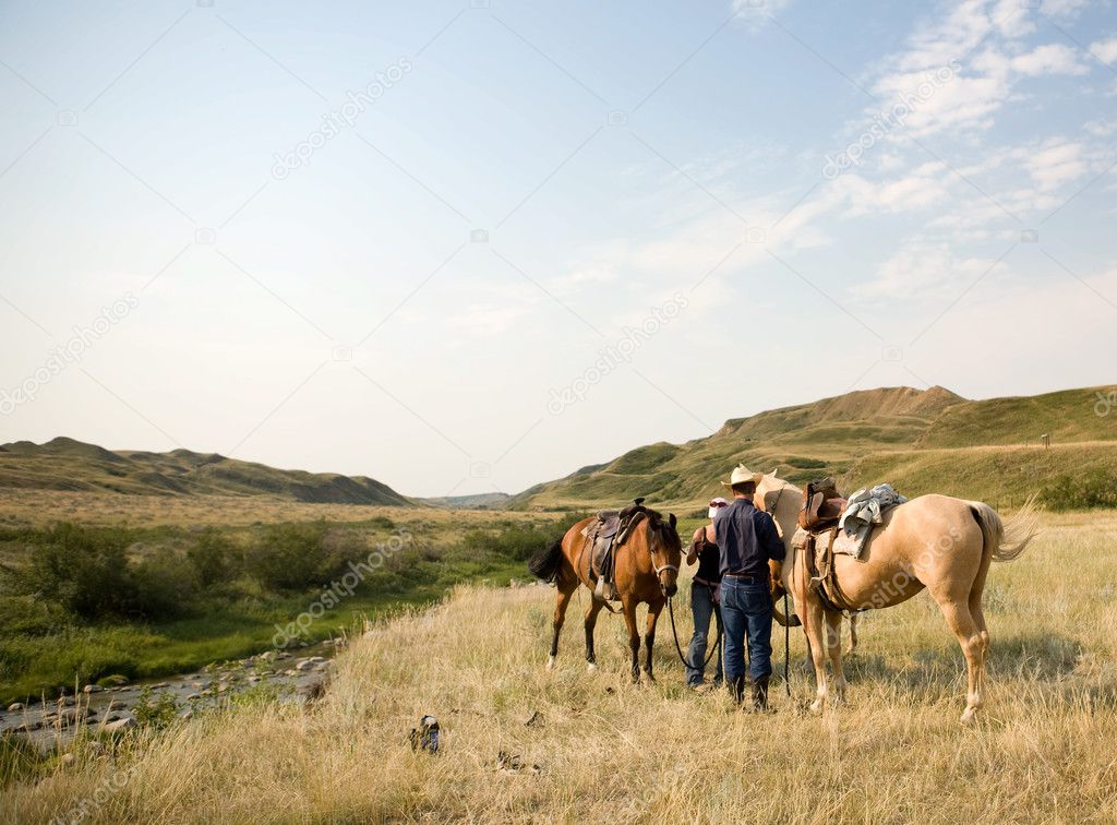 rolling prairie chat Meet rolling prairie singles online & chat in the forums dhu is a 100% free dating site to find personals & casual encounters in rolling prairie. rolling prairie chat Meet rolling prairie singles online & chat in the forums dhu is a 100% free dating site to find personals & casual encounters in rolling prairie.