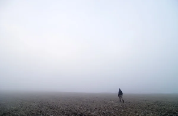 Fog Walk