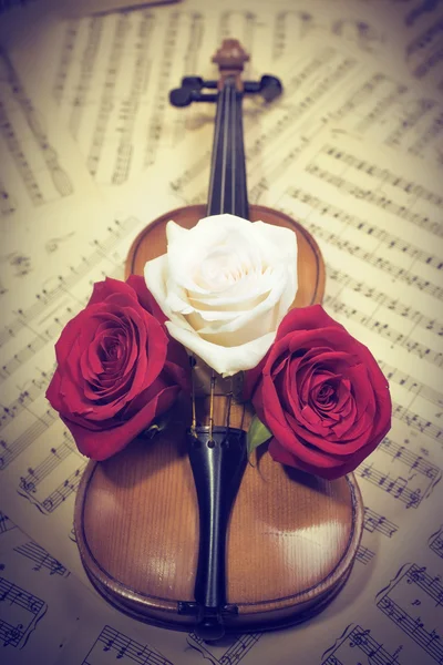 Old violin with musical notes and roses