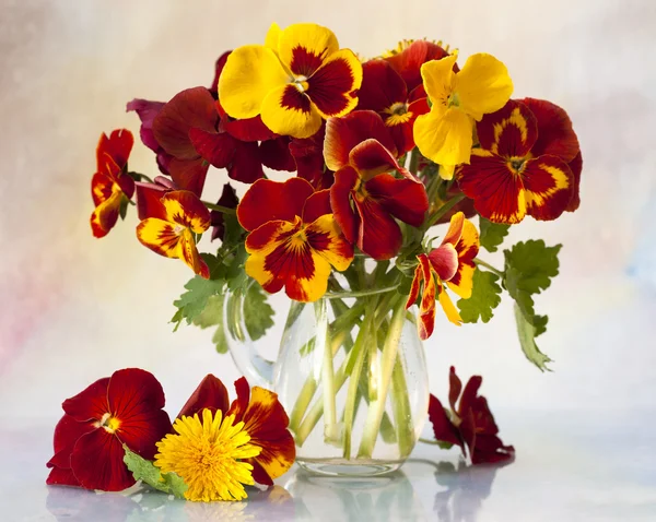 Bouquet flowering pansy