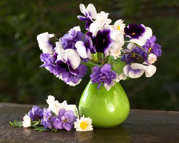 Bouquet flowering pansy