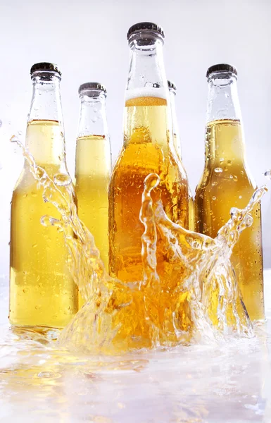 Bootles of beer with water splashes