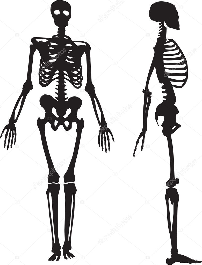 skeleton silhouette