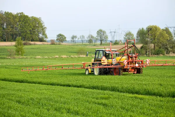 Tractor spraying green field on farm