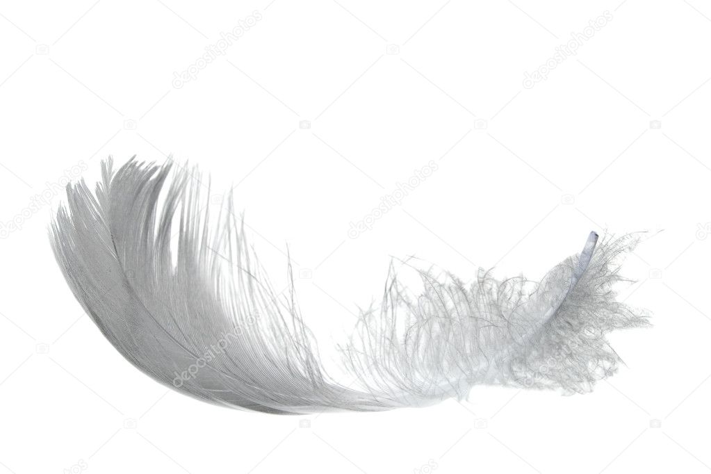 Il y a des rencontres qui marquent