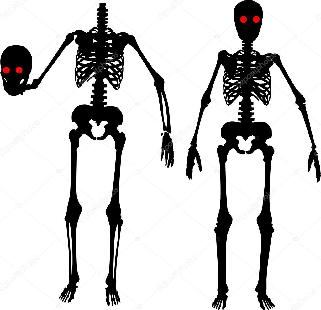 Two Skeletons Cartoon