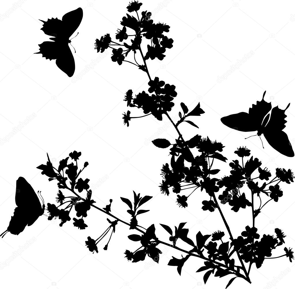 Blossom Silhouette