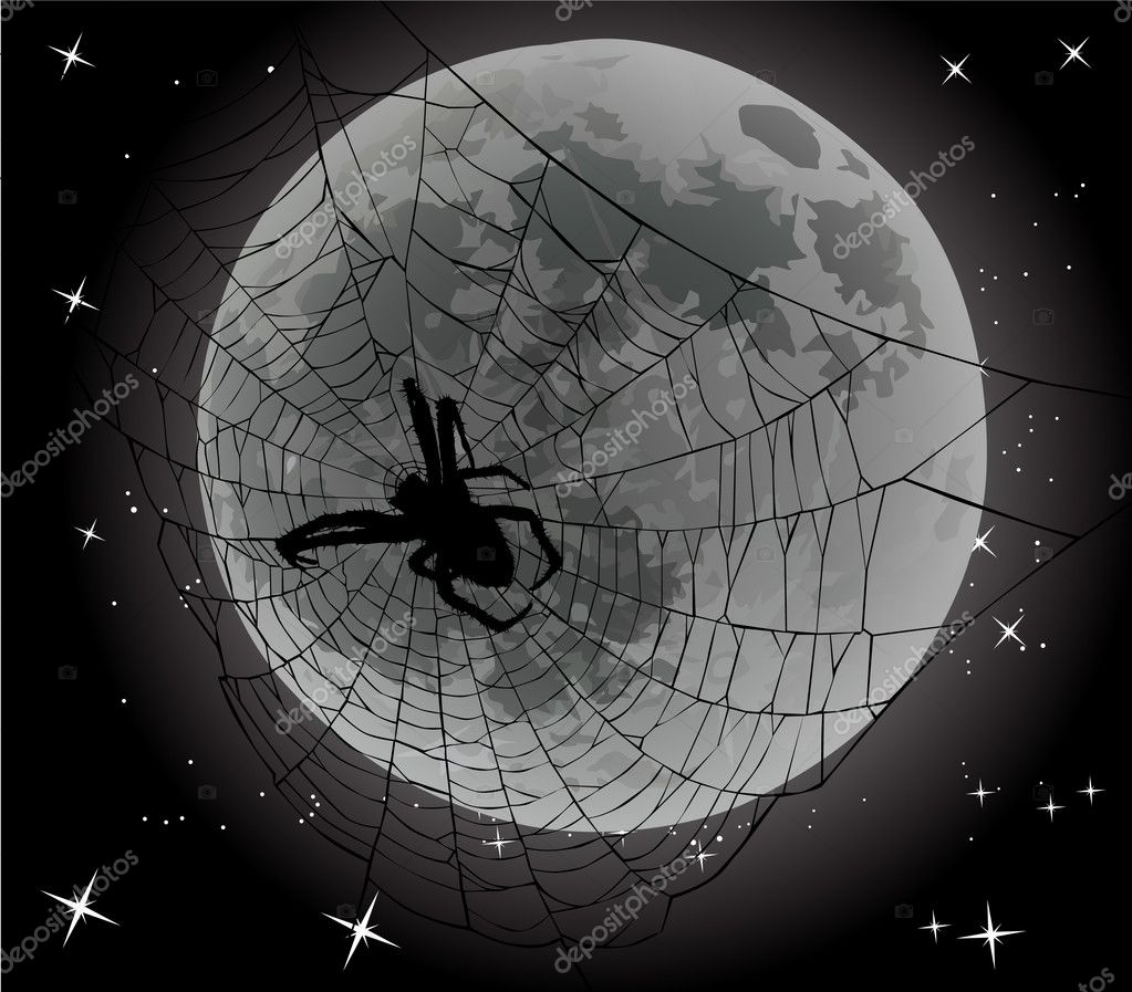 Spider Webs Background