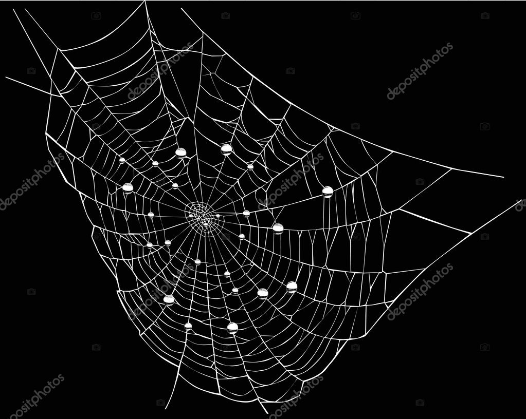 web and spider
