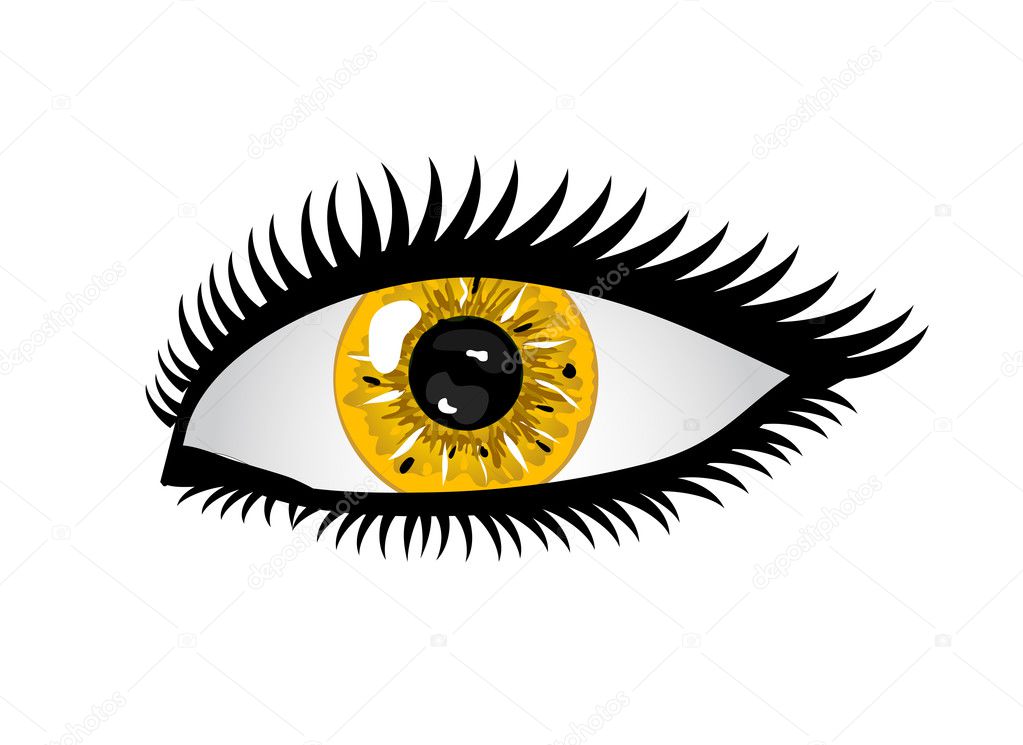 Human Eye Stock Vector Image By Pdesign 6056863