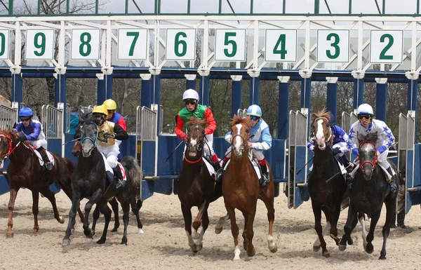 Horse racing. — Stock Photo #5601206