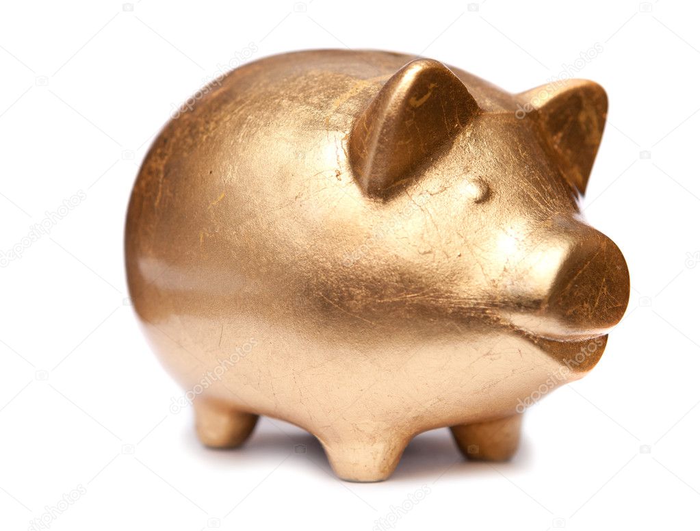 golden pig