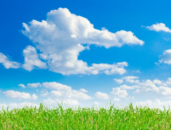 Clear blue sky background with green grass