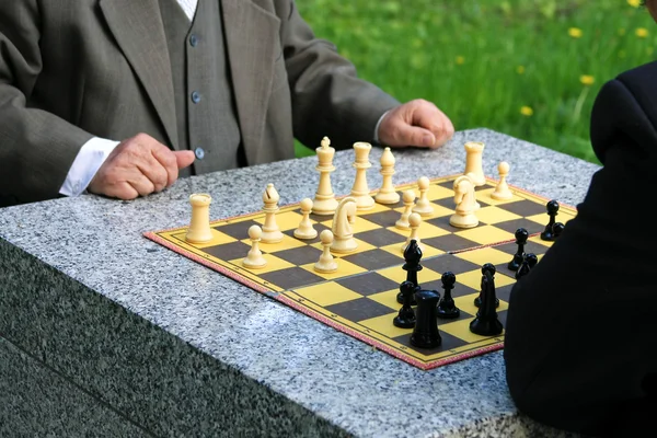 Chess in the park — Stock Photo #5470508