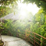 Raysraysraysraysraysraysrays - Stock fotografie