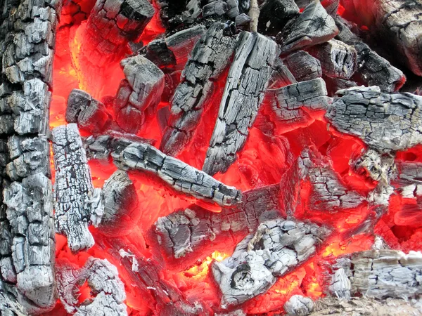 Campfire with hot coal, fire closeup.